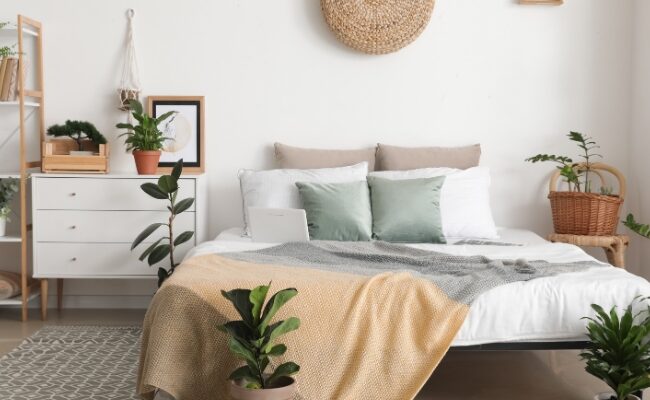 wnętrza w stylu eko