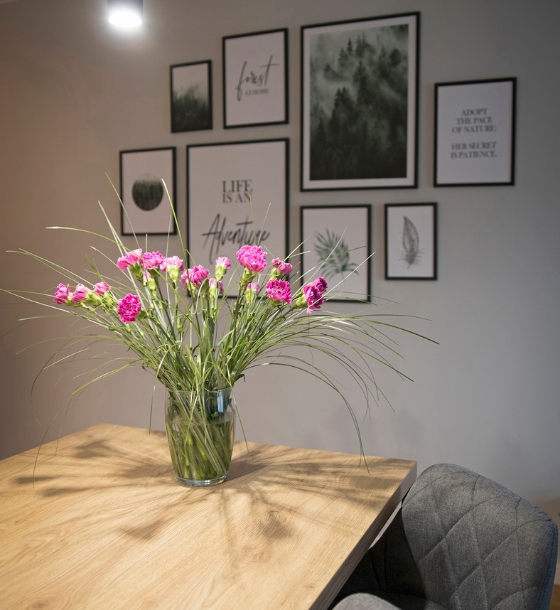 Mieszkanie na wynajem Lanciego salon